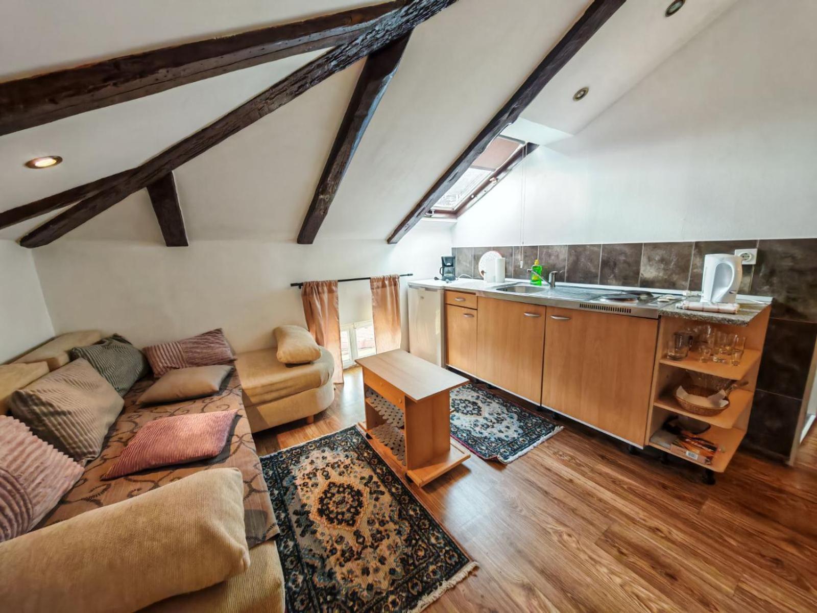 Apartment Damir Opatija Eksteriør bilde